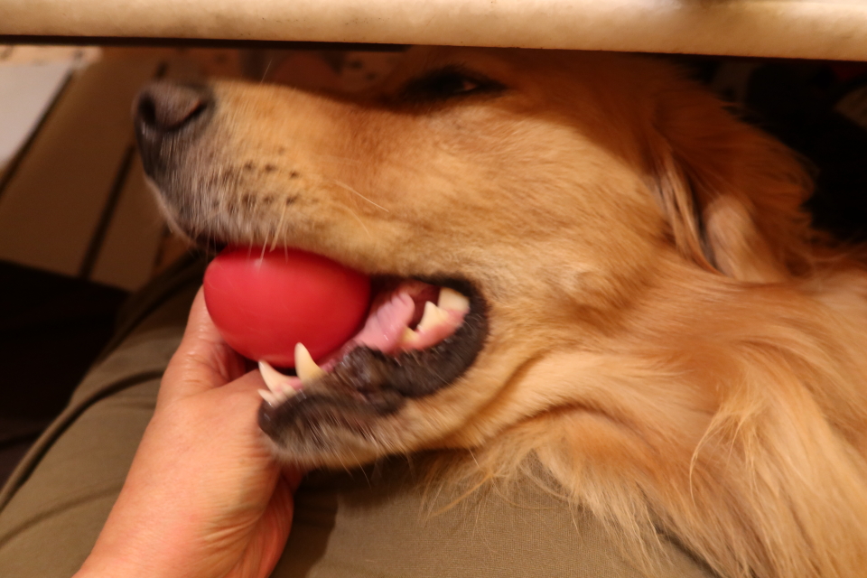 ファイル 7744-2.jpg