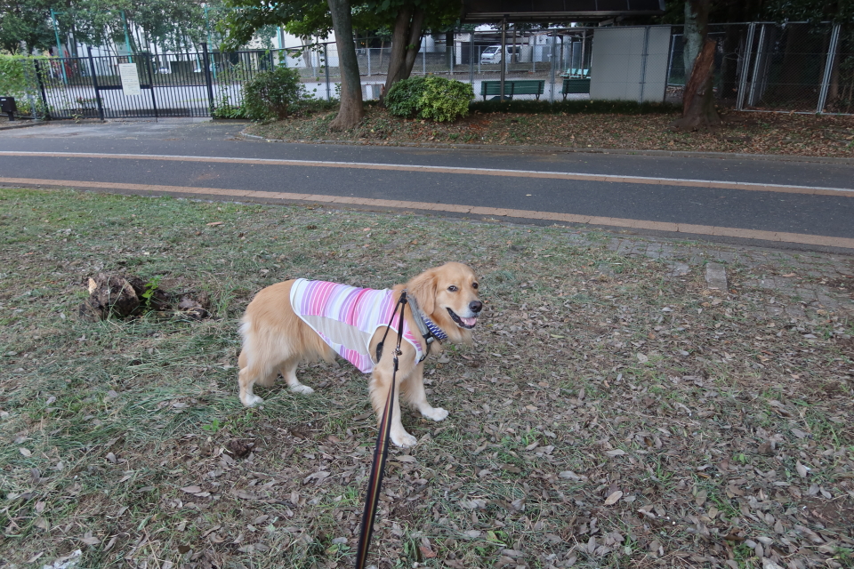 ファイル 7744-3.jpg