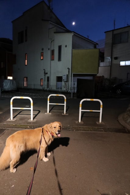 ファイル 7744-4.jpg