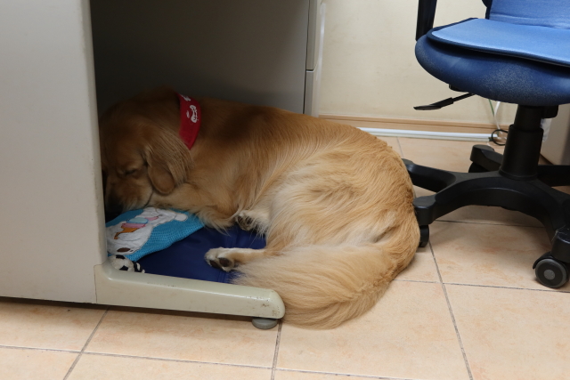 ファイル 7744-5.jpg