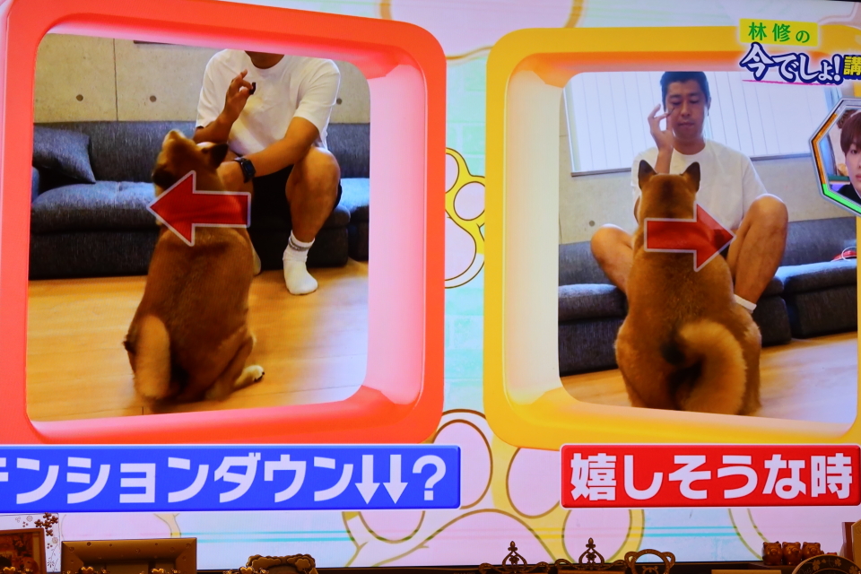 ファイル 7746-1.jpg