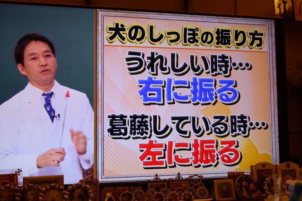 ファイル 7746-2.jpg