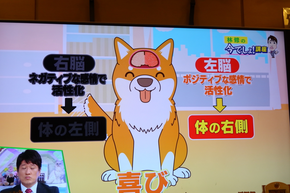 ファイル 7746-4.jpg