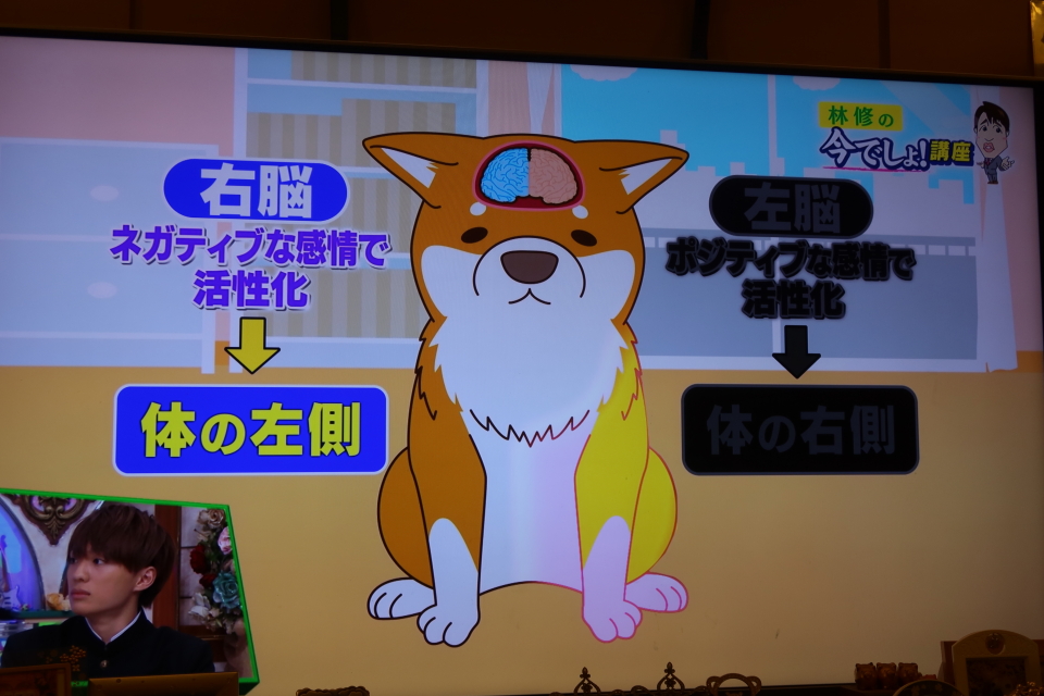 ファイル 7746-5.jpg