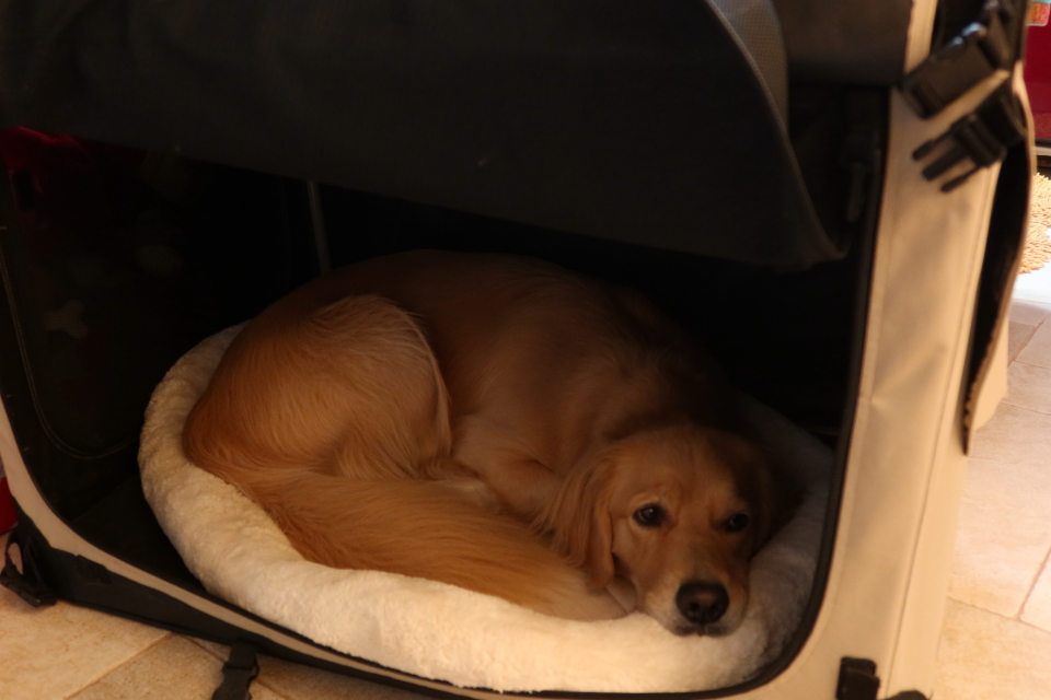 ファイル 7747-5.jpg