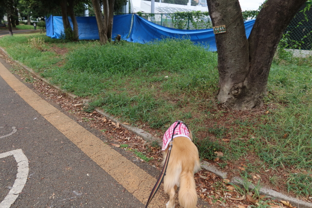 ファイル 7748-4.jpg