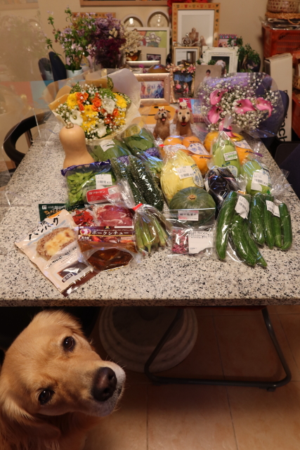 ファイル 7749-1.jpg