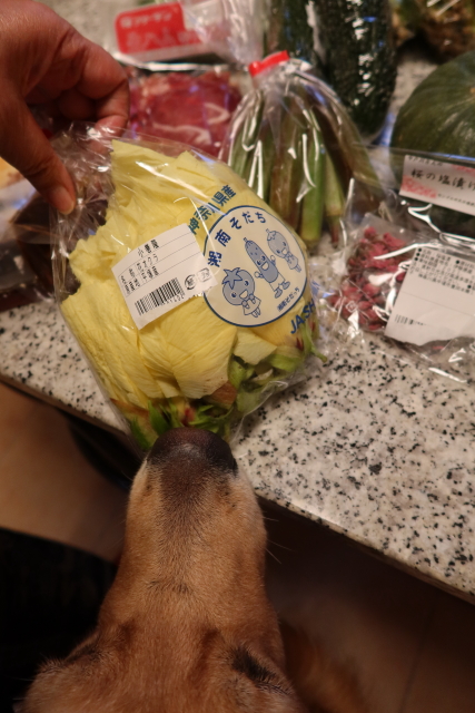 ファイル 7749-2.jpg