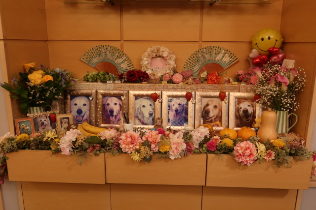 ファイル 7749-3.jpg