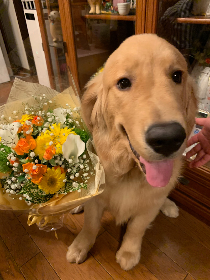 ファイル 7749-4.jpg