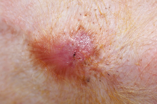 ファイル 775-3.jpg