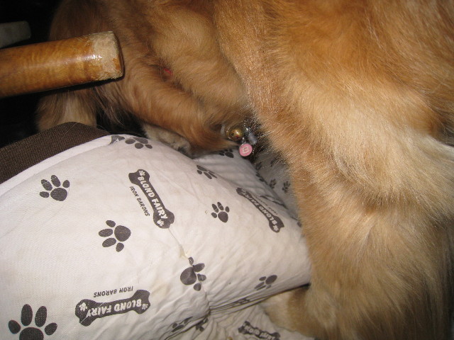 ファイル 775-4.jpg