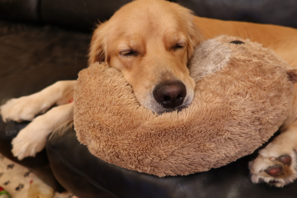 ファイル 7750-2.jpg