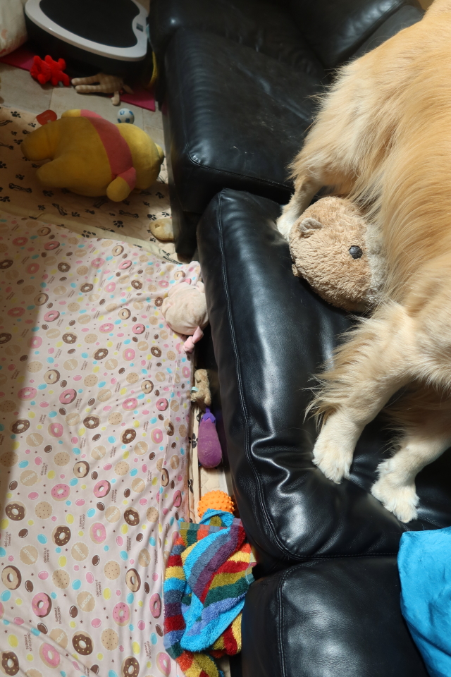 ファイル 7750-3.jpg