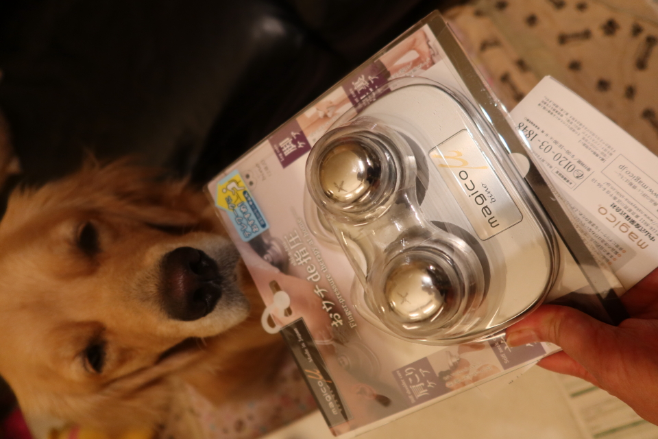 ファイル 7750-5.jpg