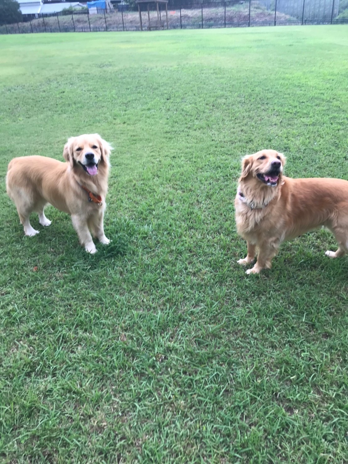 ファイル 7751-2.jpg