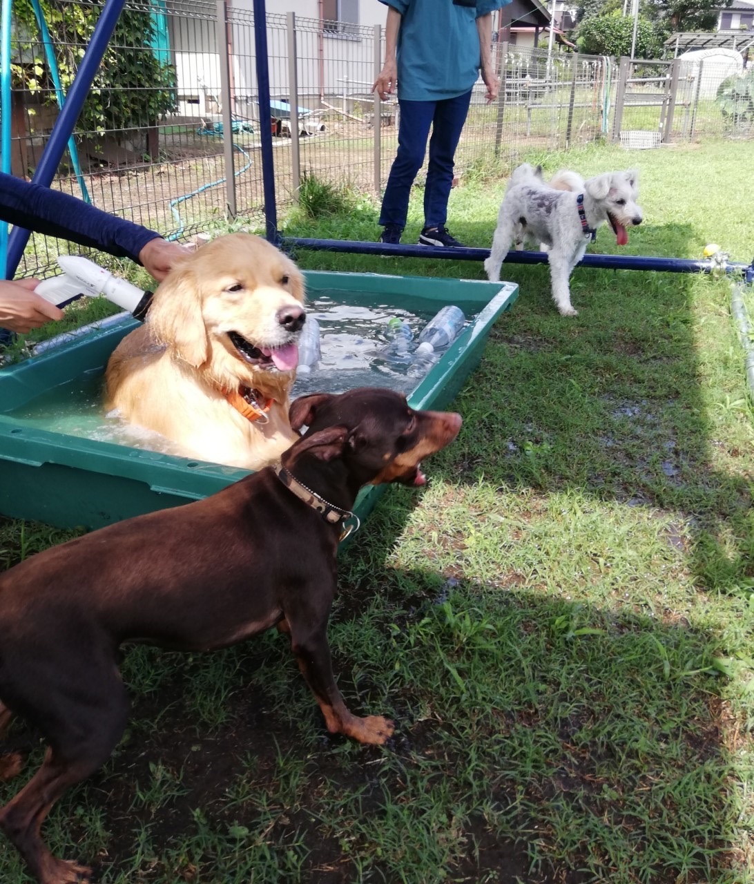 ファイル 7751-4.jpg