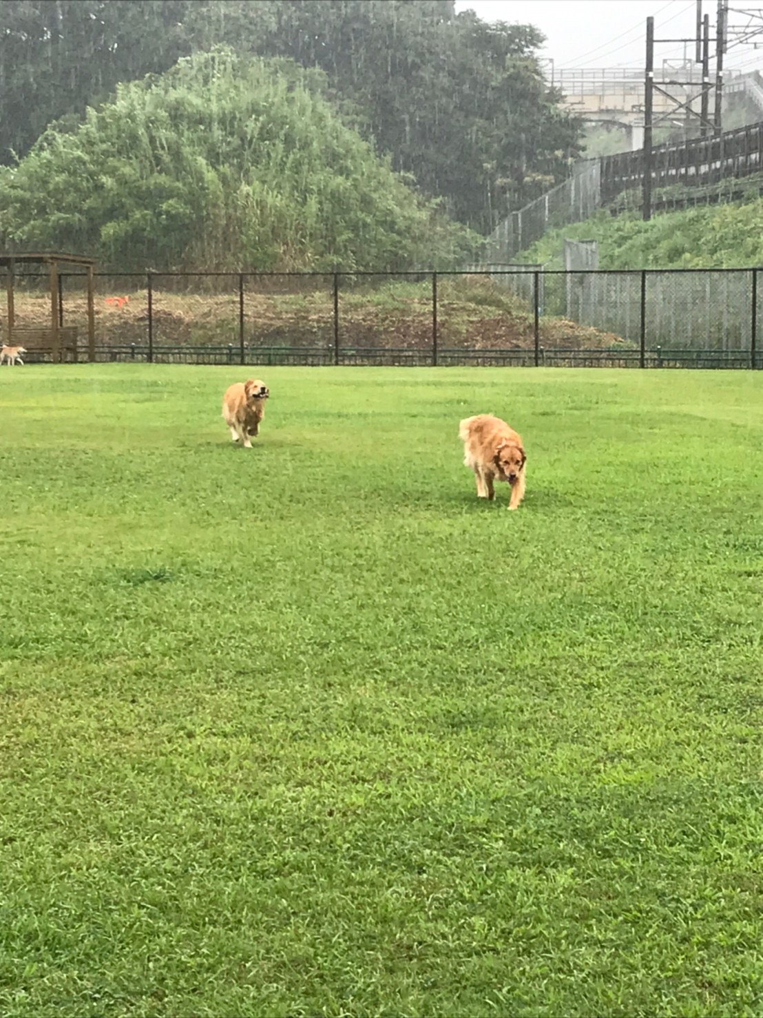 ファイル 7751-5.jpg