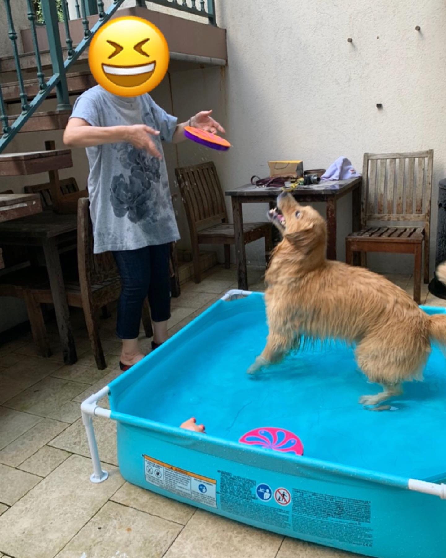 ファイル 7752-2.jpg