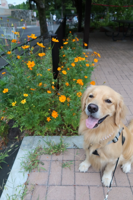 ファイル 7753-1.jpg