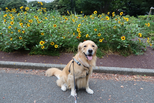 ファイル 7753-3.jpg