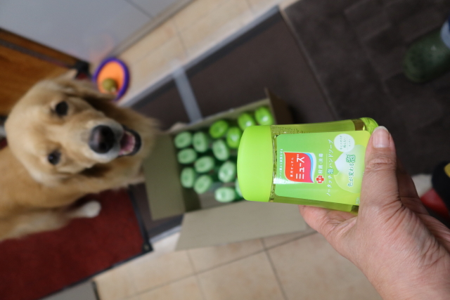 ファイル 7753-5.jpg