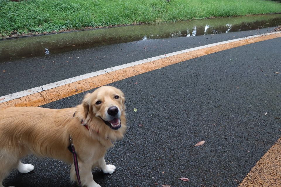 ファイル 7754-2.jpg