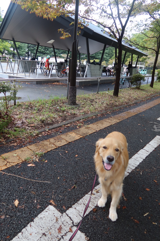 ファイル 7754-3.jpg