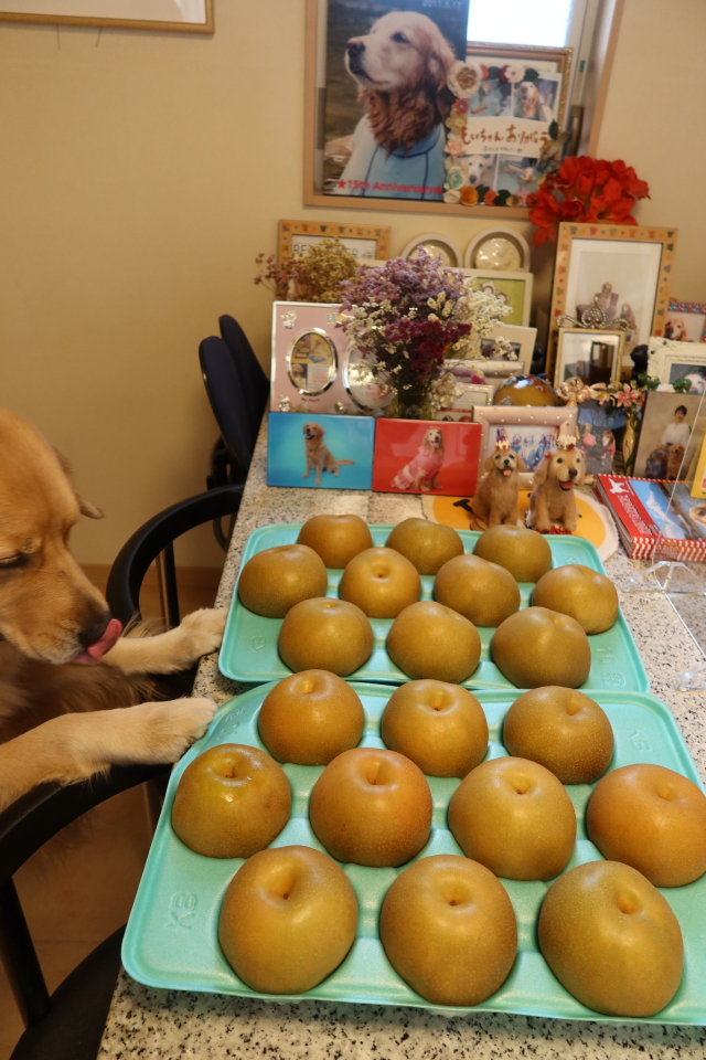 ファイル 7755-1.jpg