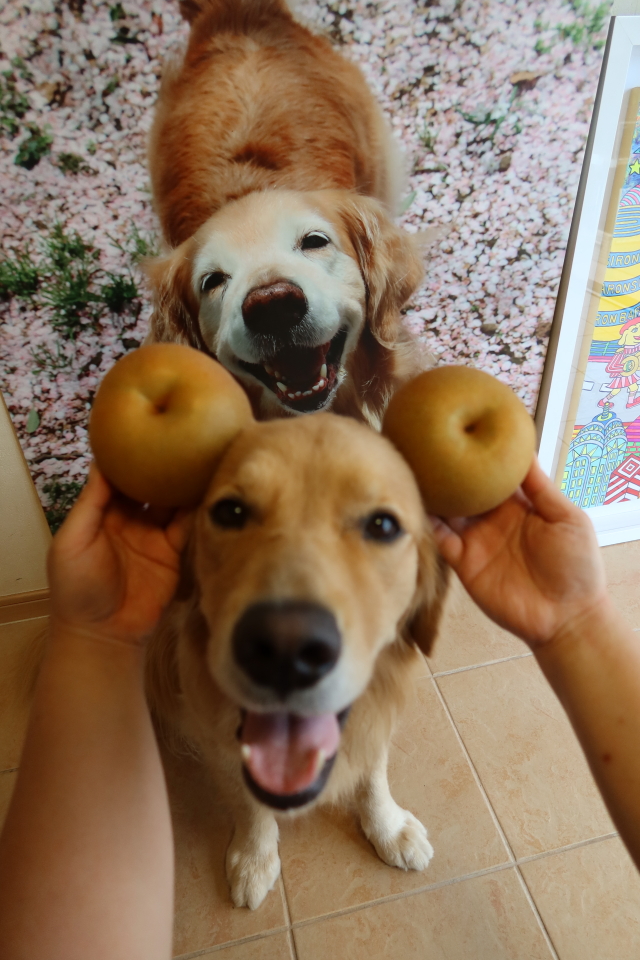 ファイル 7755-2.jpg