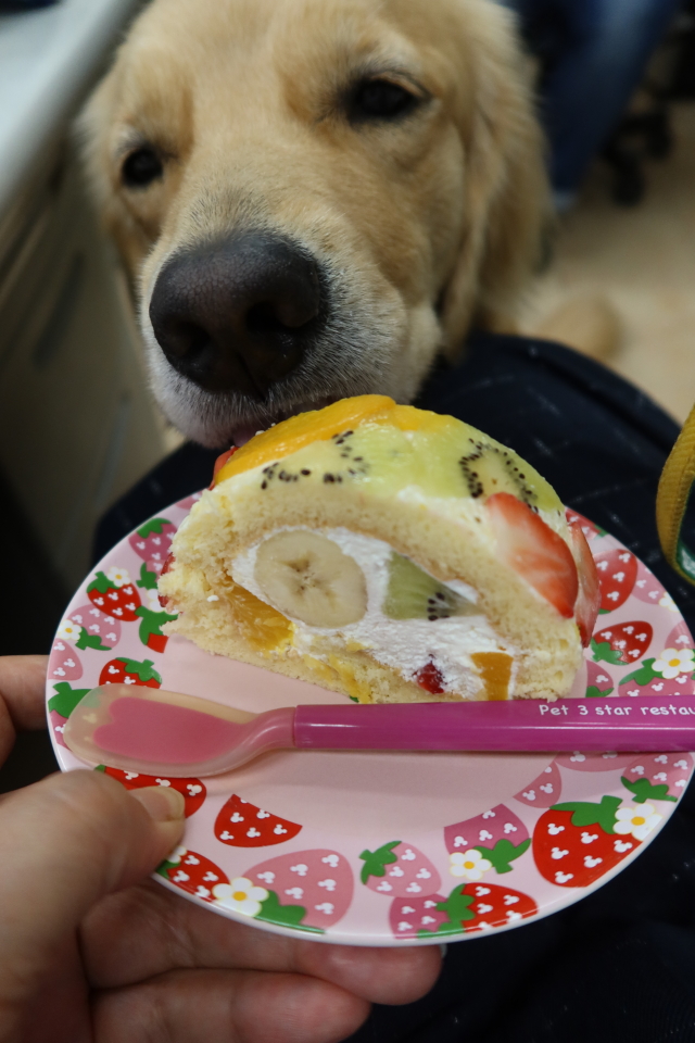 ファイル 7755-4.jpg