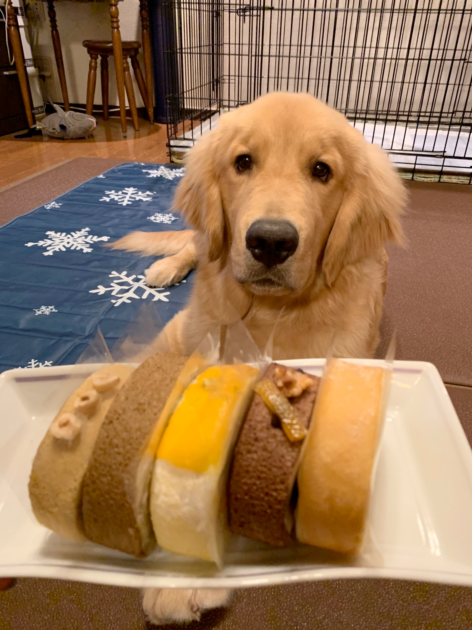 ファイル 7755-5.jpg