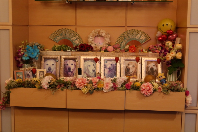 ファイル 7757-2.jpg