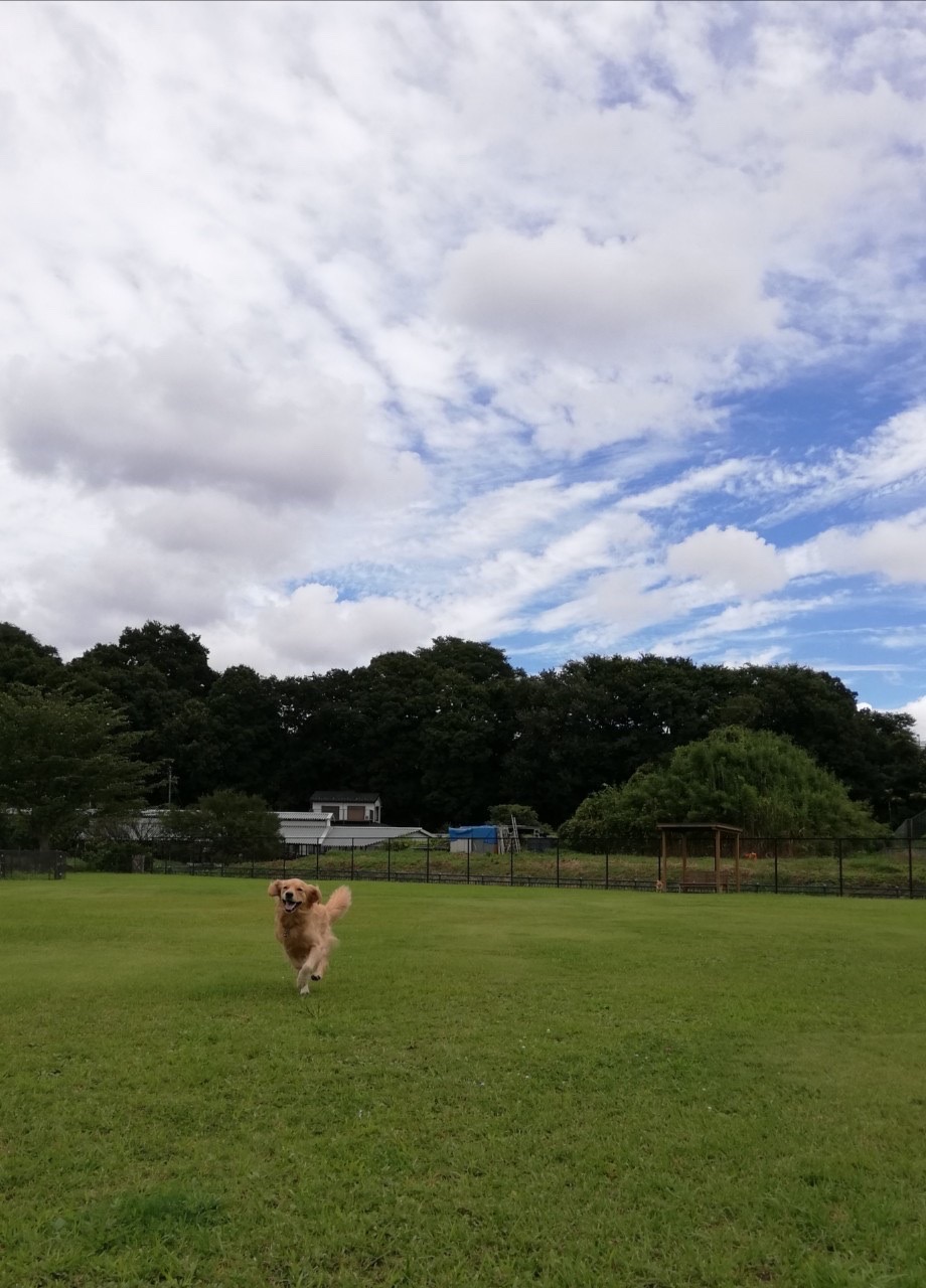 ファイル 7758-1.jpg