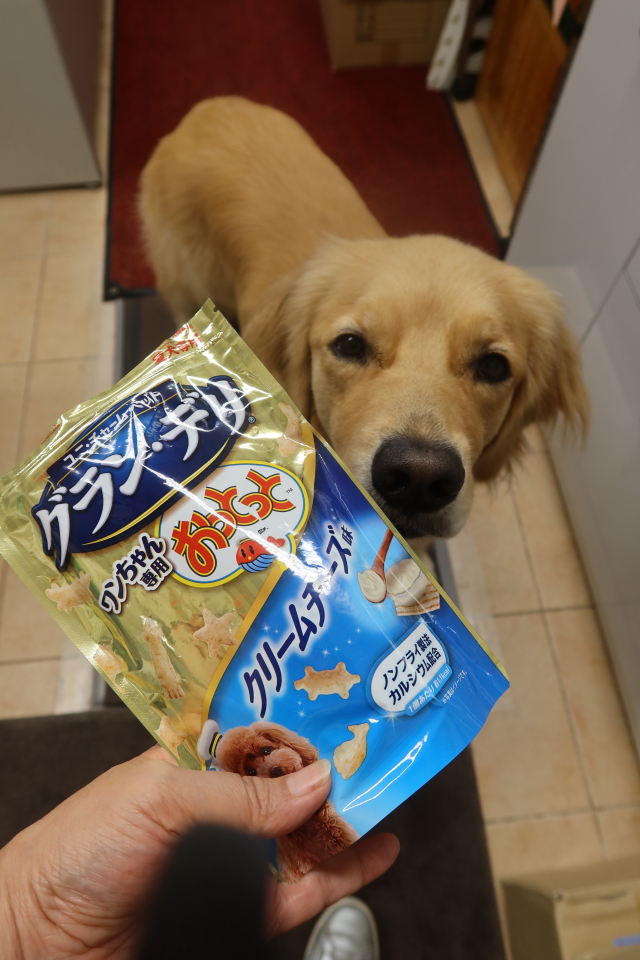 ファイル 7759-2.jpg