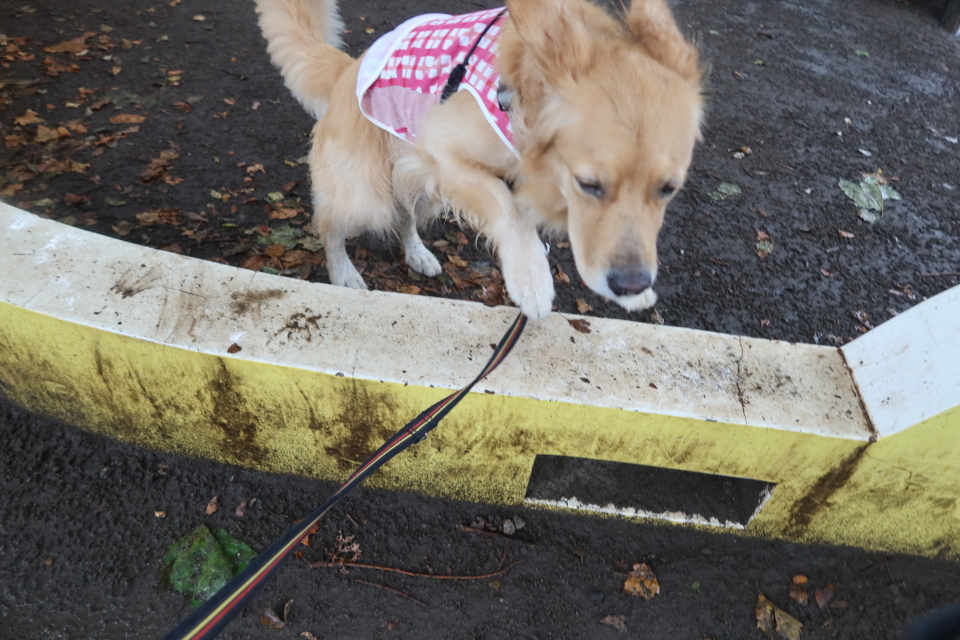 ファイル 7759-3.jpg