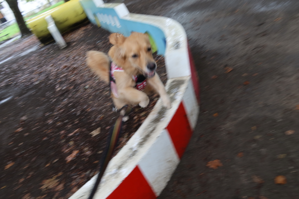 ファイル 7759-4.jpg