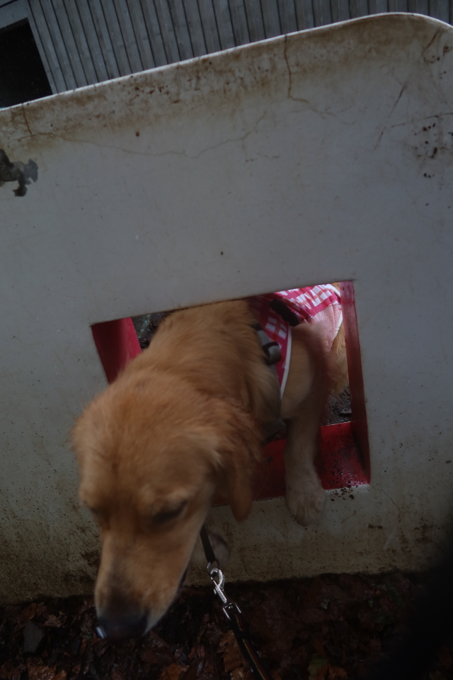 ファイル 7759-5.jpg