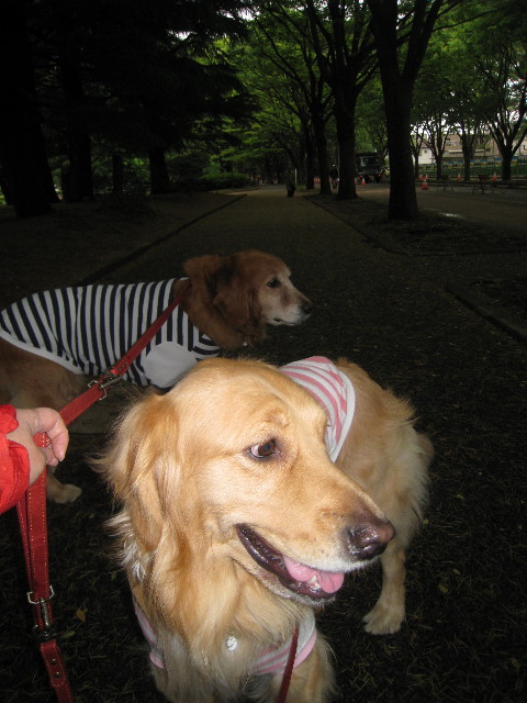 ファイル 776-1.jpg