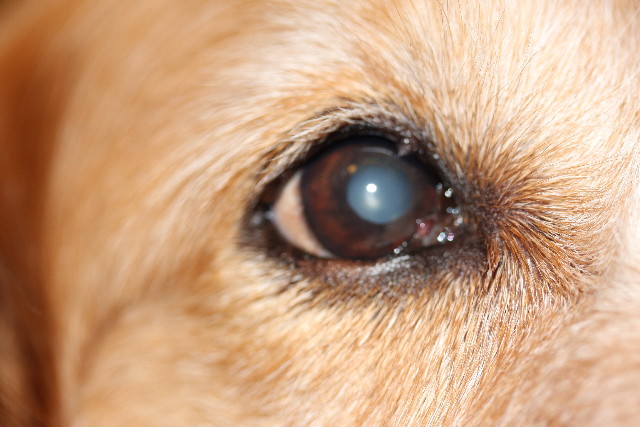 ファイル 776-2.jpg