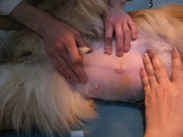 ファイル 776-5.jpg