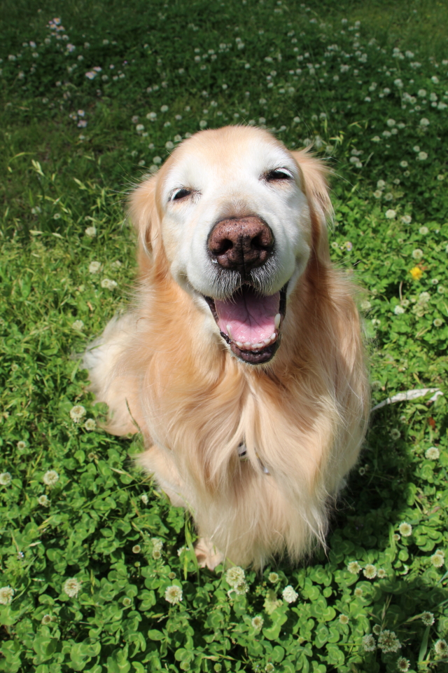 ファイル 7762-3.jpg