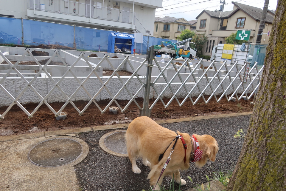 ファイル 7763-2.jpg