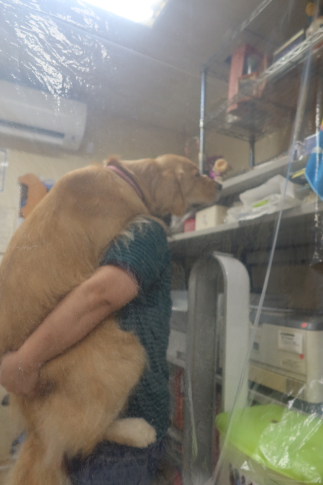 ファイル 7763-5.jpg