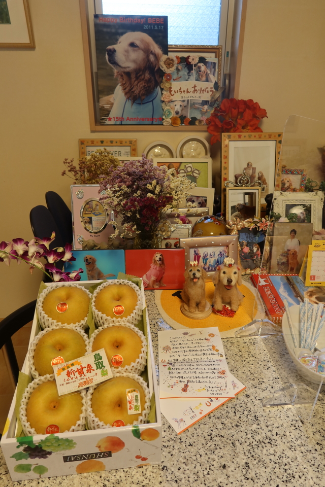 ファイル 7764-2.jpg