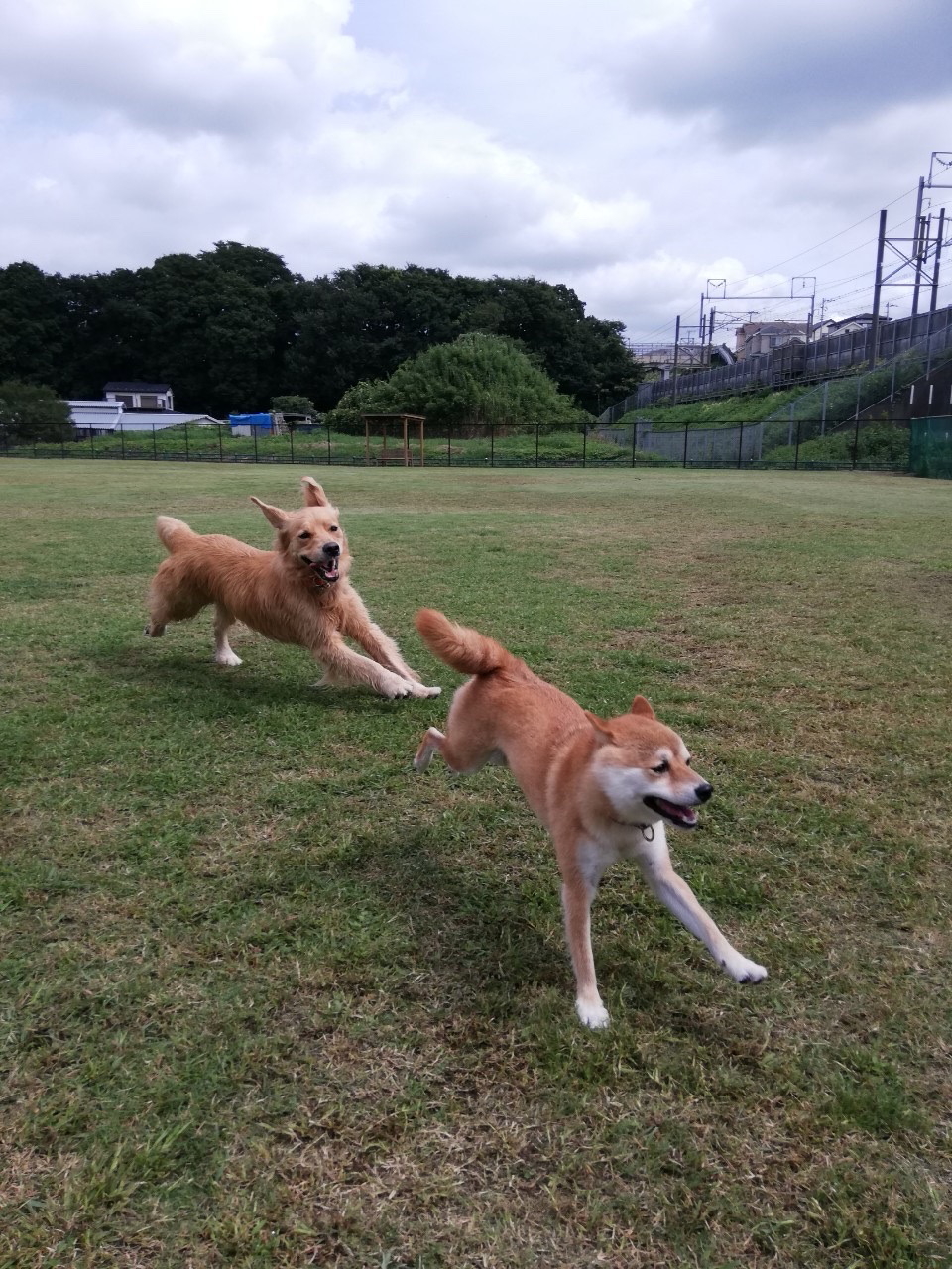 ファイル 7765-3.jpg