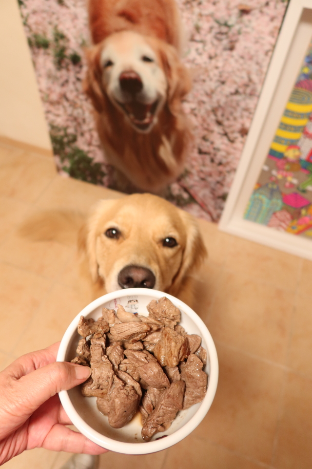 ファイル 7766-3.jpg