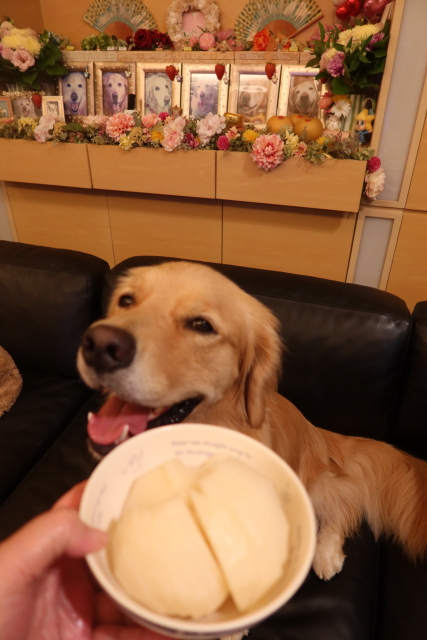 ファイル 7766-4.jpg