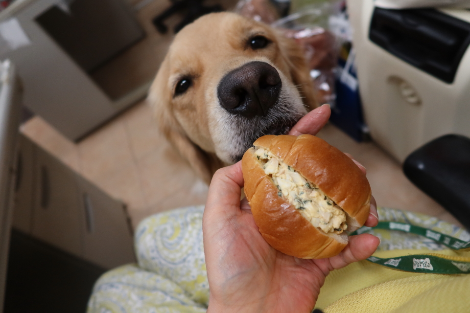 ファイル 7766-5.jpg