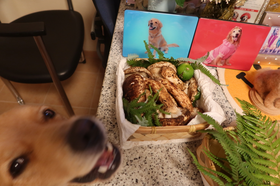 ファイル 7767-1.jpg